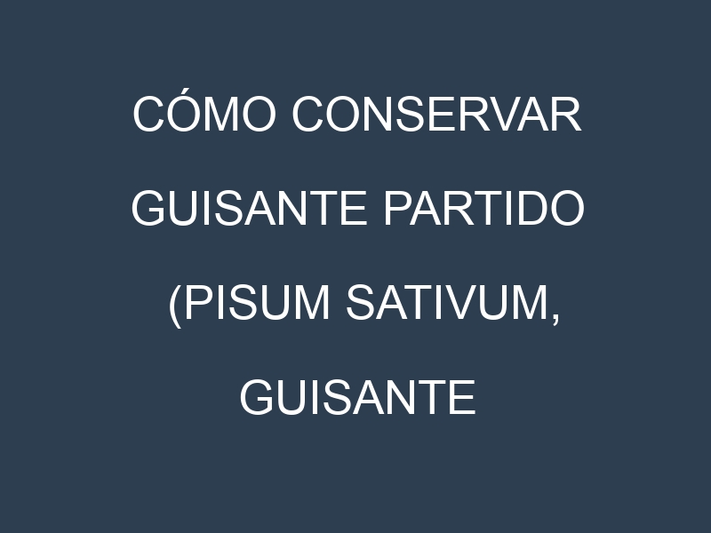 Cómo conservar Guisante partido (Pisum sativum, Guisante partido común, Guisante partido amarillo).