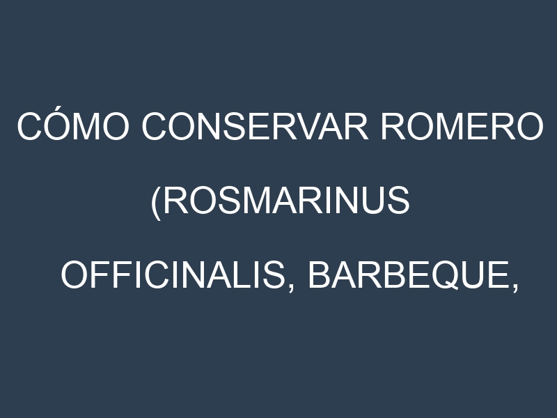 Cómo conservar Romero (Rosmarinus officinalis, Barbeque, Tuscan Blue, Prostratus).