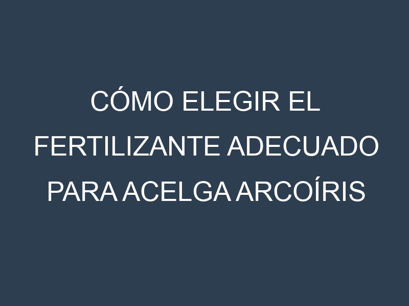Cómo Elegir el Fertilizante Adecuado para Acelga arcoíris