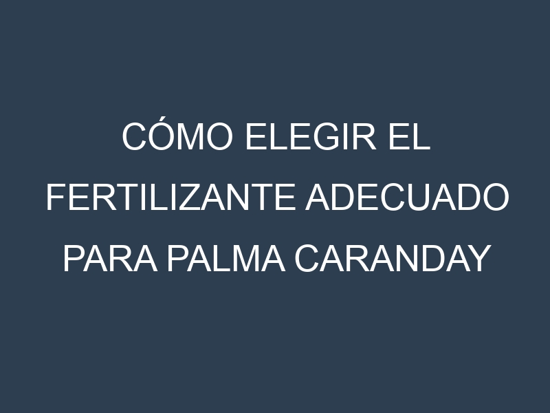 Cómo Elegir el Fertilizante Adecuado para Palma caranday