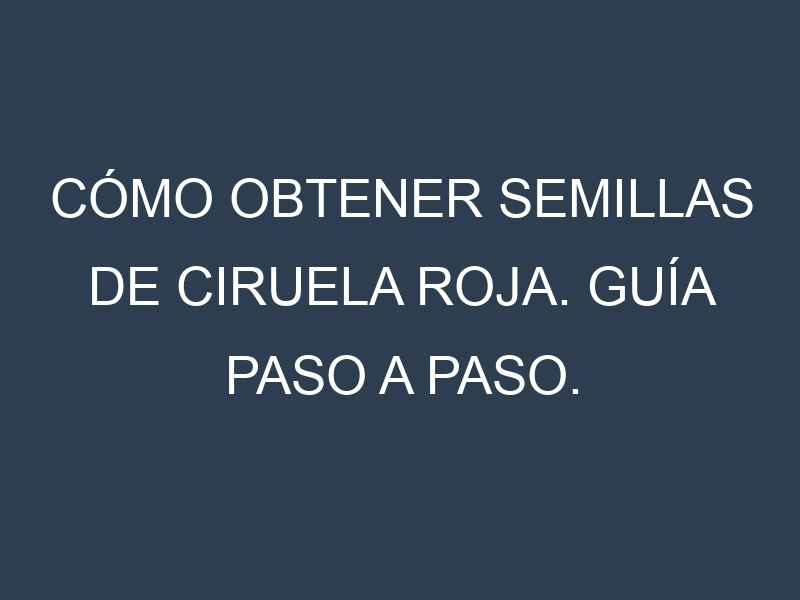 Cómo obtener semillas de Ciruela roja. Guía paso a paso. Técnicas sencillas. Conservación.