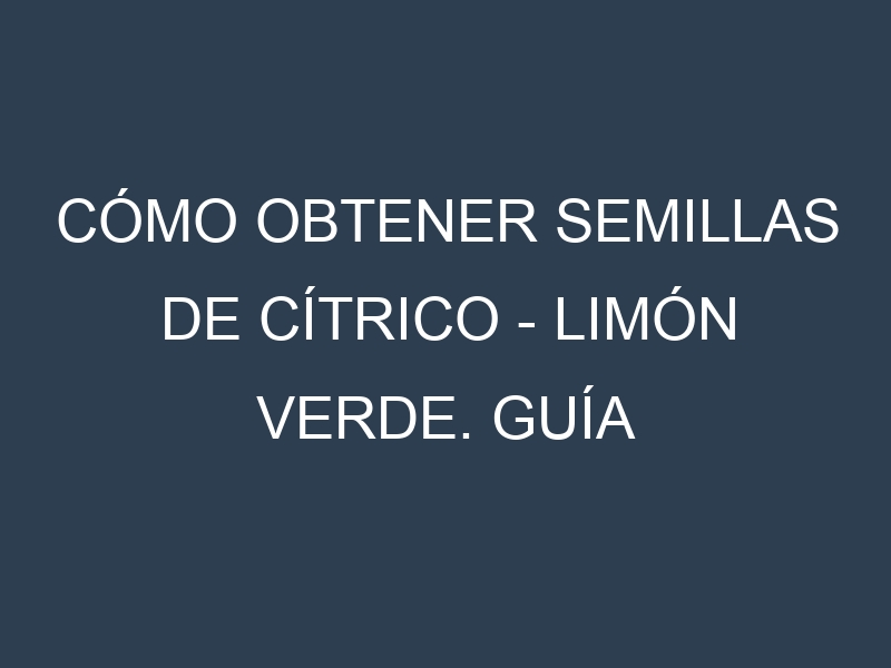 Cómo obtener semillas de Cítrico – Limón verde. Guía paso a paso. Técnicas sencillas. Conservación.
