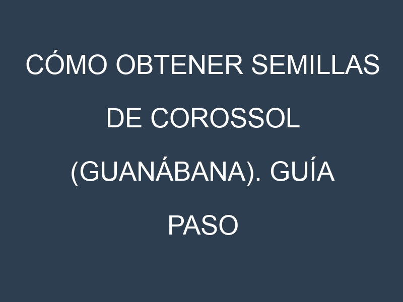 Cómo obtener semillas de Corossol (guanábana). Guía paso a paso. Técnicas sencillas. Conservación.