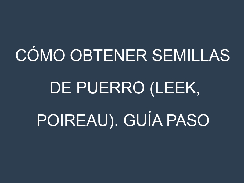 Cómo obtener semillas de Puerro (Leek, poireau). Guía paso a paso. Técnicas sencillas. Conservación.