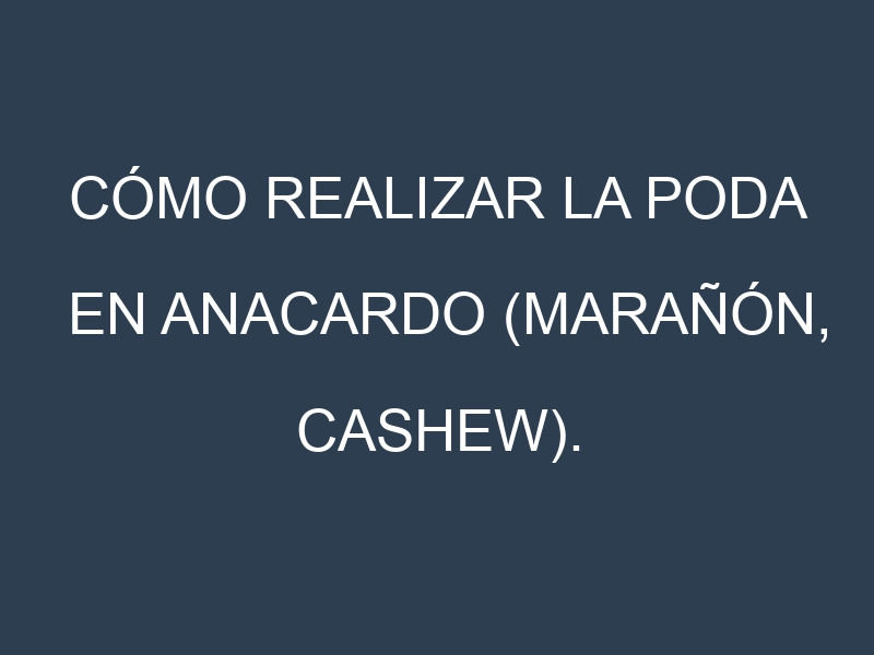 Cómo Realizar la Poda en Anacardo (Marañón, cashew). Técnicas y Poda de formación.