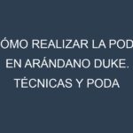Cómo Realizar la Poda en Arándano Duke. Técnicas y Poda de formación.