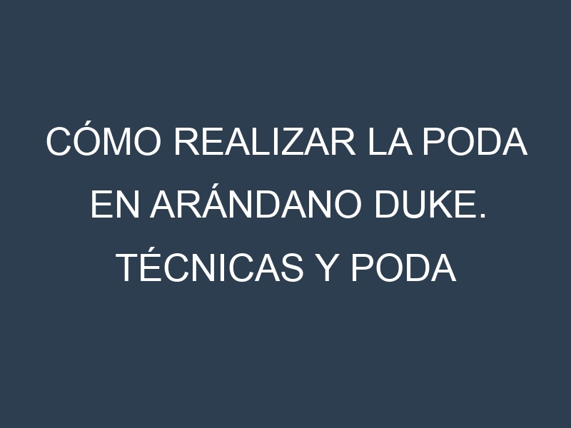 Cómo Realizar la Poda en Arándano Duke. Técnicas y Poda de formación.