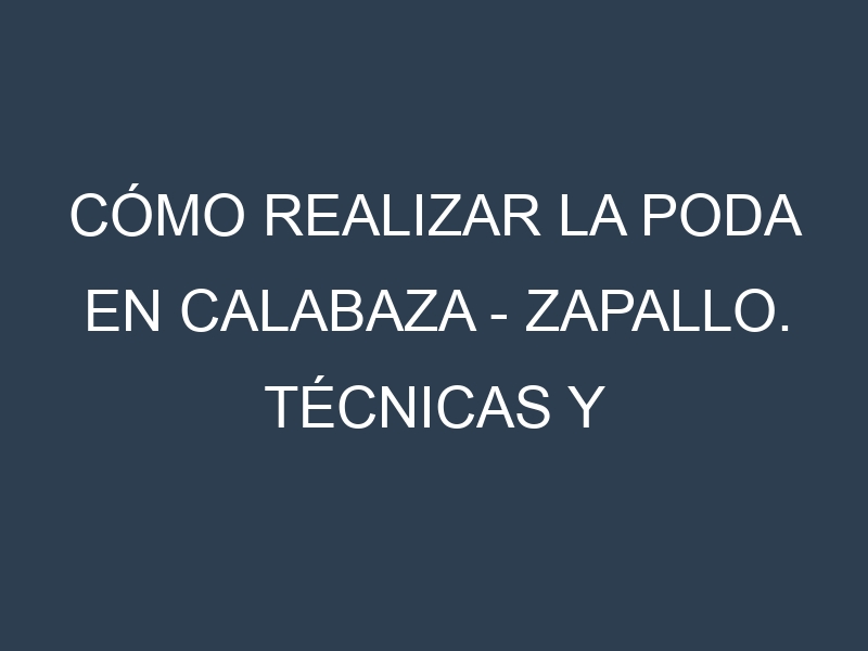 Cómo Realizar la Poda en Calabaza – Zapallo. Técnicas y Poda de formación.