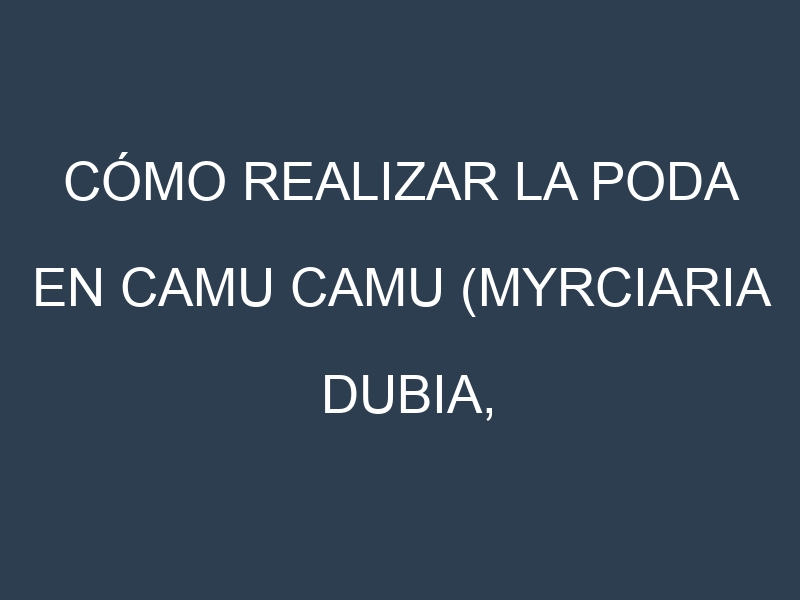 Cómo Realizar la Poda en Camu camu (Myrciaria dubia, camu-camu). Técnicas y Poda de formación.