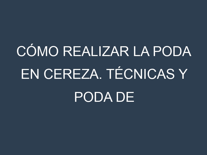 Cómo Realizar la Poda en Cereza. Técnicas y Poda de formación.