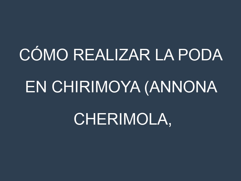 Cómo Realizar la Poda en Chirimoya (Annona cherimola, cherimoya). Técnicas y Poda de formación.