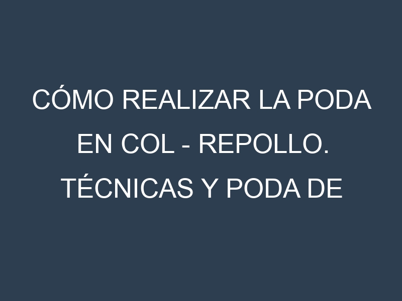 Cómo Realizar la Poda en Col – Repollo. Técnicas y Poda de formación.