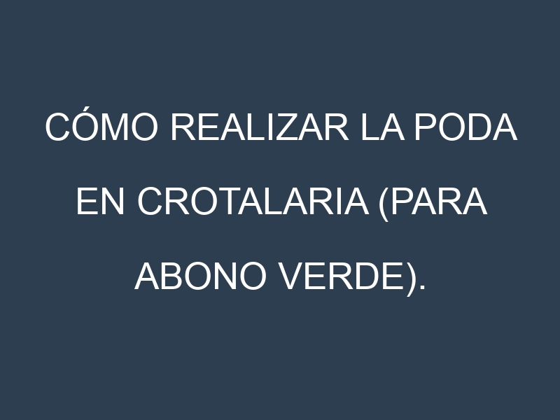 Cómo Realizar la Poda en Crotalaria (para abono verde). Técnicas y Poda de formación.