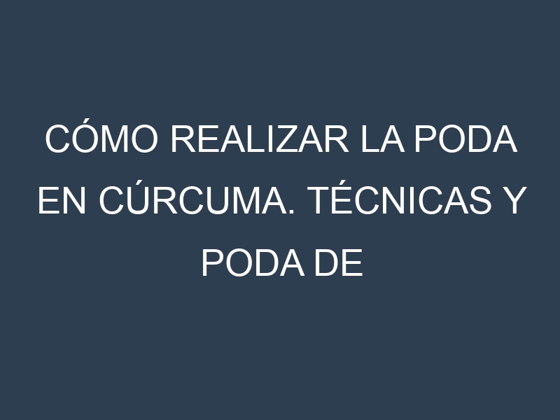 Cómo Realizar la Poda en Cúrcuma. Técnicas y Poda de formación.