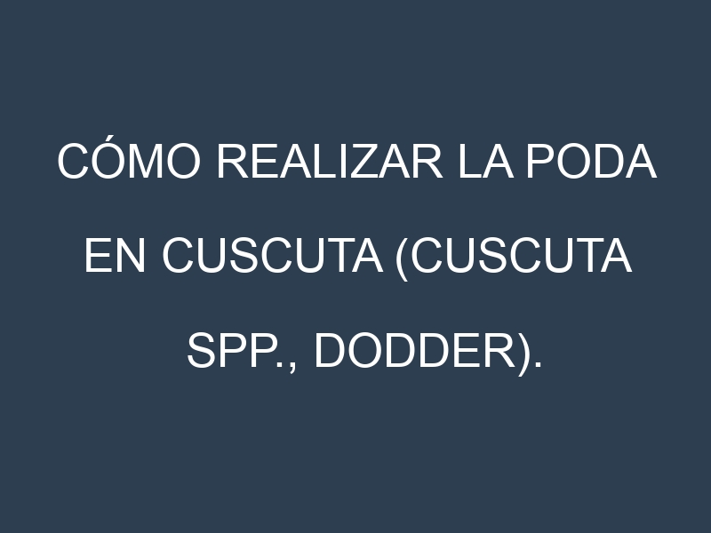 Cómo Realizar la Poda en Cuscuta (Cuscuta spp., dodder). Técnicas y Poda de formación.