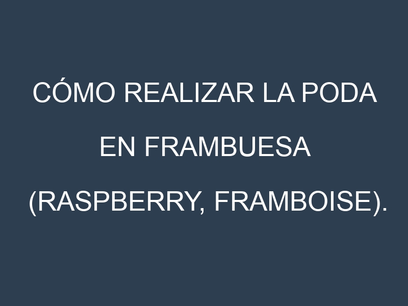 Cómo Realizar la Poda en Frambuesa (Raspberry, framboise). Técnicas y Poda de formación.