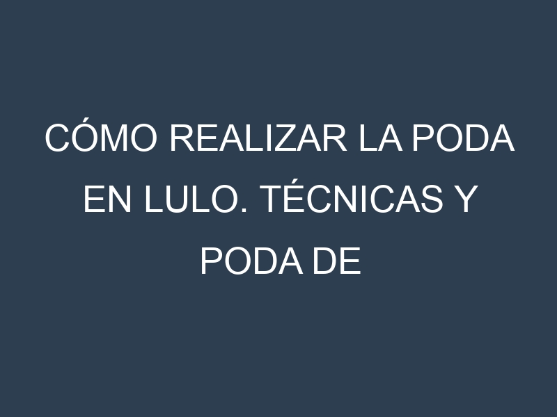 Cómo Realizar la Poda en Lulo. Técnicas y Poda de formación.