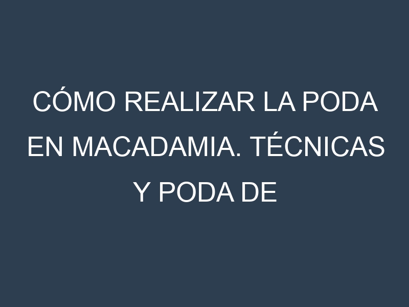 Cómo Realizar la Poda en Macadamia. Técnicas y Poda de formación.