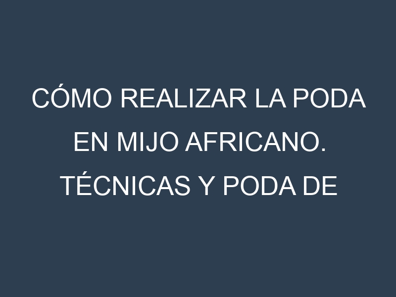 Cómo Realizar la Poda en Mijo africano. Técnicas y Poda de formación.