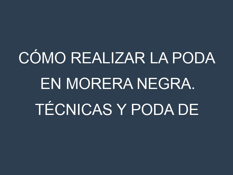 Cómo Realizar la Poda en Morera negra. Técnicas y Poda de formación.