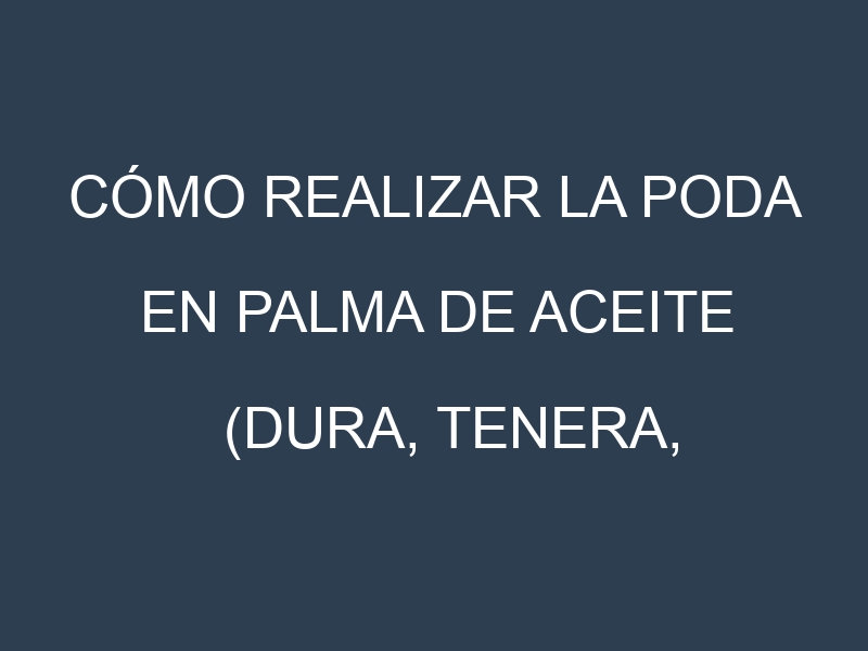 Cómo Realizar la Poda en Palma de aceite (Dura, Tenera, Pisifera, Ekona, La Mé). Técnicas y Poda de formación.