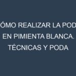 Cómo Realizar la Poda en Pimienta blanca. Técnicas y Poda de formación.