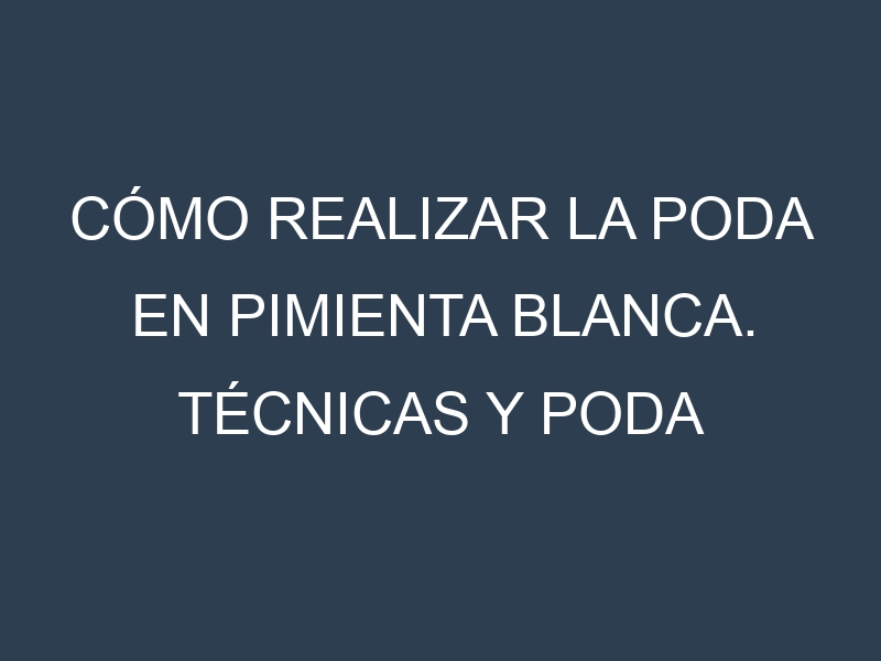 Cómo Realizar la Poda en Pimienta blanca. Técnicas y Poda de formación.