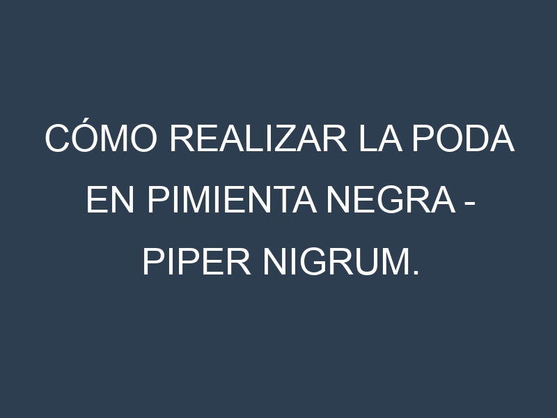 Cómo Realizar la Poda en Pimienta negra – Piper nigrum. Técnicas y Poda de formación.