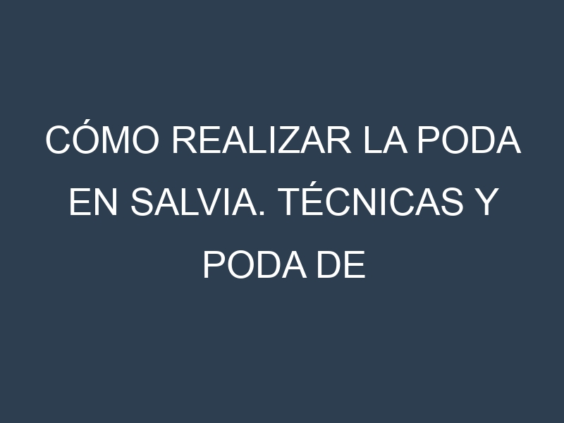 Cómo Realizar la Poda en Salvia. Técnicas y Poda de formación.