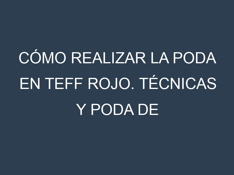 Cómo Realizar la Poda en Teff rojo. Técnicas y Poda de formación.