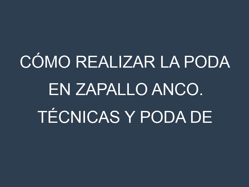 Cómo Realizar la Poda en Zapallo anco. Técnicas y Poda de formación.