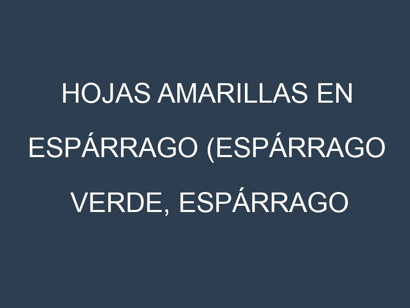 Hojas amarillas en Espárrago (Espárrago verde, Espárrago blanco, Mary Washington, UC 157). Manchas amarillas en Espárrago (Espárrago verde, Espárrago blanco, Mary Washington, UC 157)