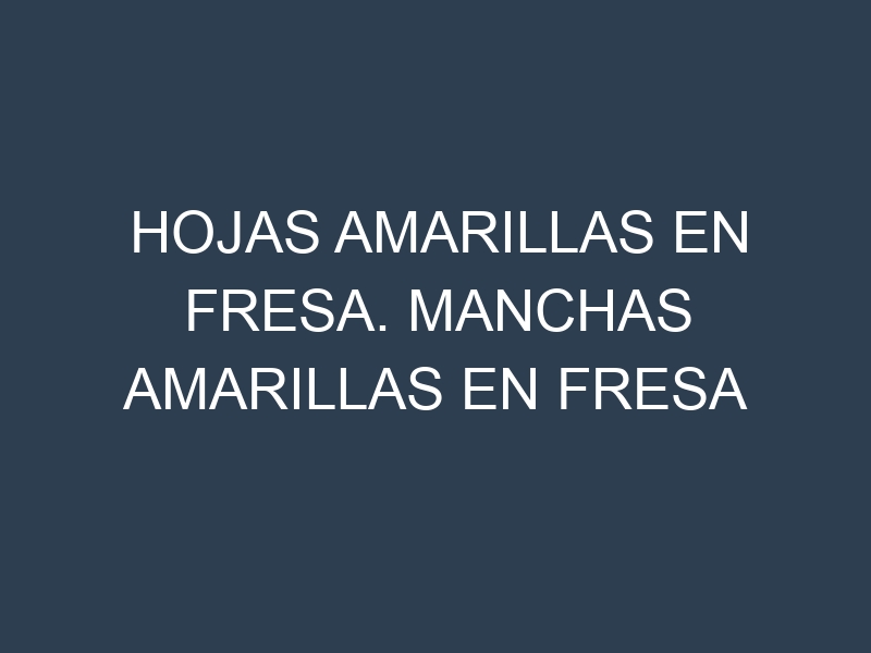 Hojas amarillas en Fresa. Manchas amarillas en Fresa