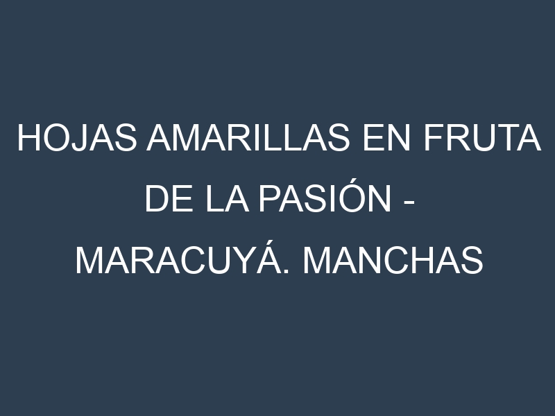 Hojas amarillas en Fruta de la pasión – Maracuyá. Manchas amarillas en Fruta de la pasión – Maracuyá