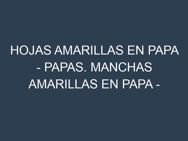 Hojas amarillas en Papa – Papas. Manchas amarillas en Papa – Papas