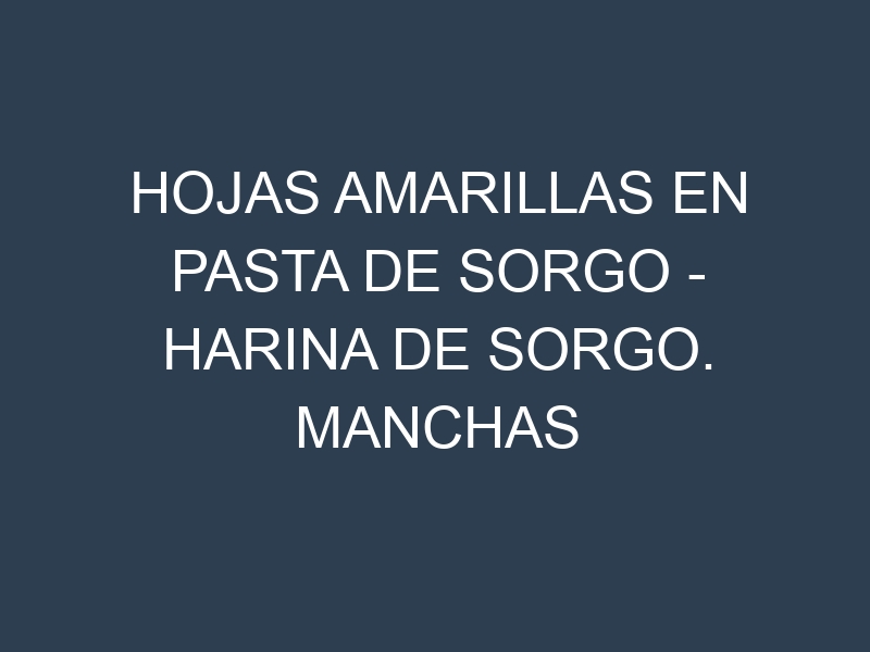 Hojas amarillas en Pasta de sorgo – Harina de sorgo. Manchas amarillas en Pasta de sorgo – Harina de sorgo
