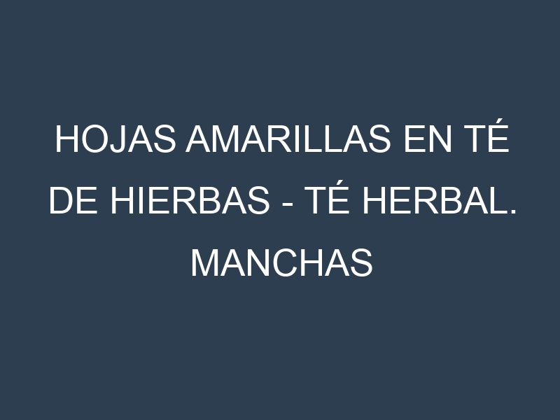 Hojas amarillas en Té de hierbas – Té herbal. Manchas amarillas en Té de hierbas – Té herbal