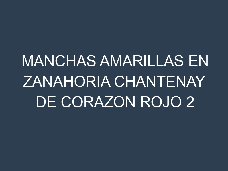 Manchas Amarillas en Zanahoria Chantenay De Corazon Rojo 2