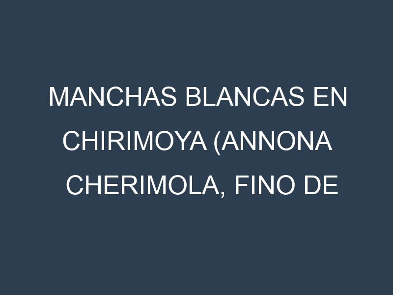 Manchas blancas en Chirimoya (Annona cherimola, Fino de Jete, Booth, Campas). Manchas hojas blancas en Chirimoya (Annona cherimola, Fino de Jete, Booth, Campas).