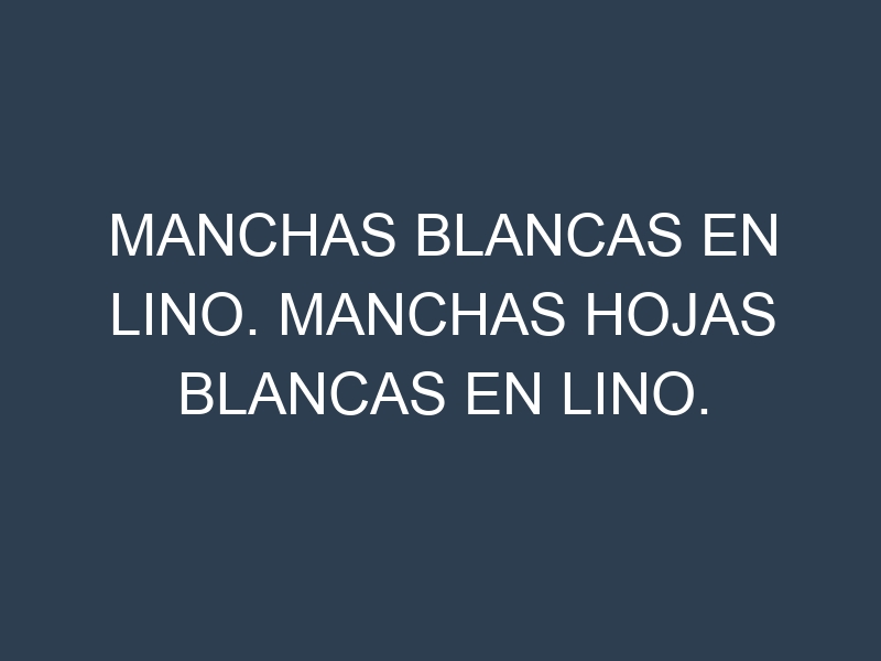 Manchas blancas en Lino. Manchas hojas blancas en Lino.