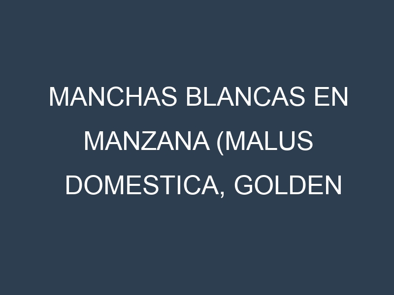 Manchas blancas en Manzana (Malus domestica, Golden Delicious, Fuji, Granny Smith). Manchas hojas blancas en Manzana (Malus domestica, Golden Delicious, Fuji, Granny Smith).