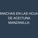 Manchas en las hojas de Aceituna manzanilla: Identificación, Causas y Estrategias de Control Efectivo