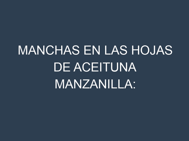 Manchas en las hojas de Aceituna manzanilla: Identificación, Causas y Estrategias de Control Efectivo