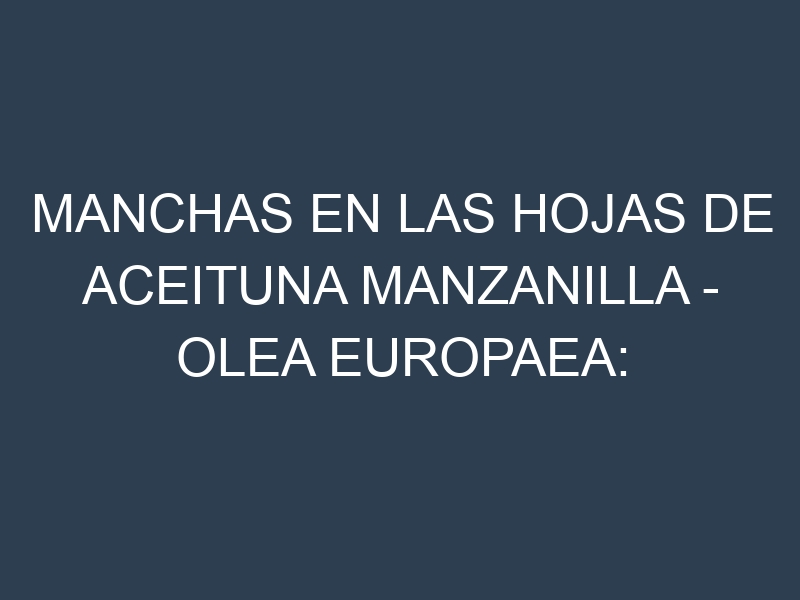 Manchas en las hojas de Aceituna Manzanilla – Olea europaea: Identificación, Causas y Estrategias de Control Efectivo