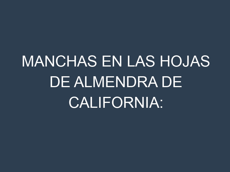 Manchas en las hojas de Almendra de California: Identificación, Causas y Estrategias de Control Efectivo