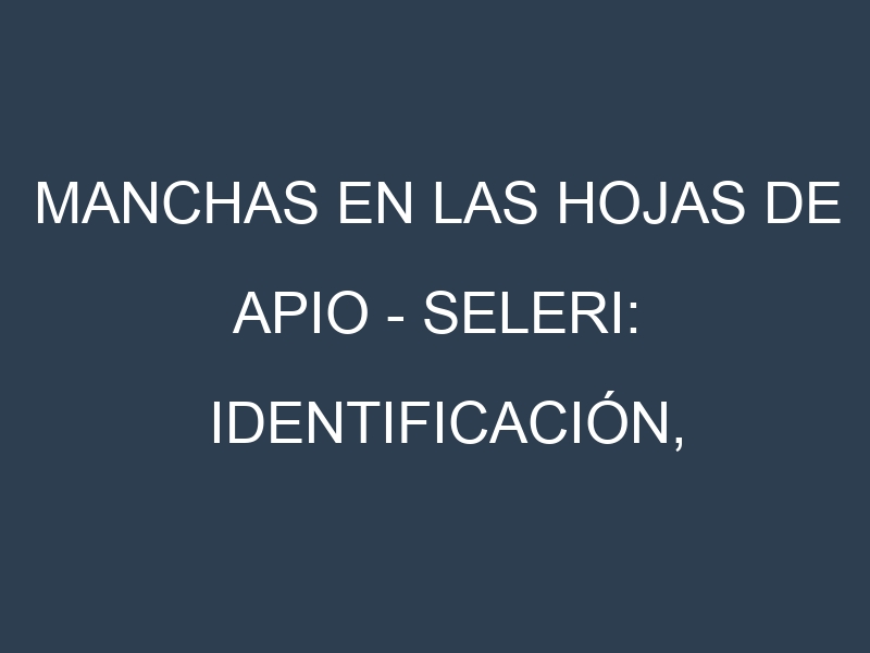 Manchas en las hojas de Apio – Seleri: Identificación, Causas y Estrategias de Control Efectivo