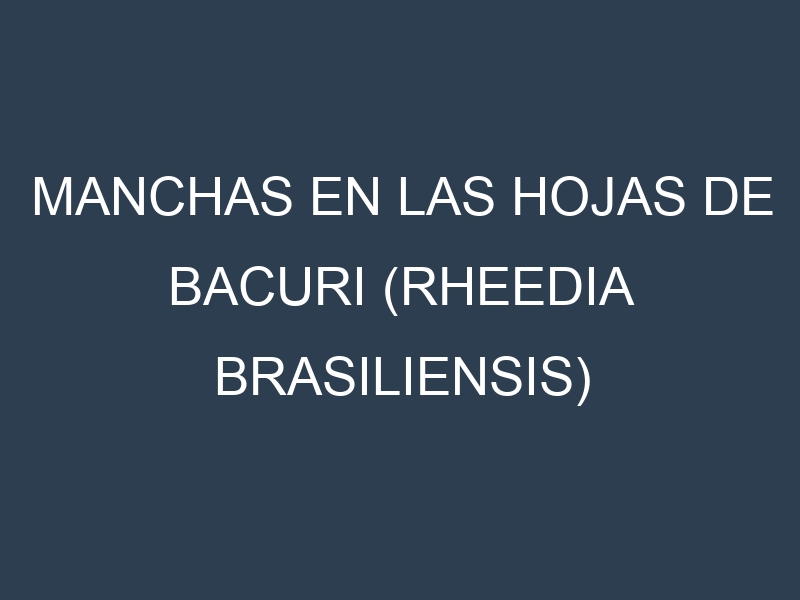 Manchas en las hojas de Bacuri (Rheedia brasiliensis) (Bacurizinho, Graudo, Palmeira, Bacaba Vermelha, Cabeçudo): Identificación, Causas y Estrategias de Control Efectivo