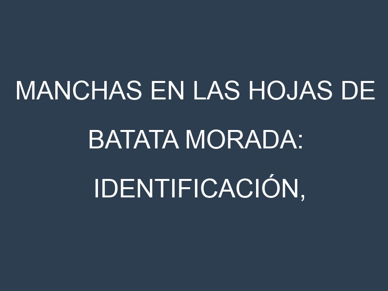 Manchas en las hojas de Batata morada: Identificación, Causas y Estrategias de Control Efectivo