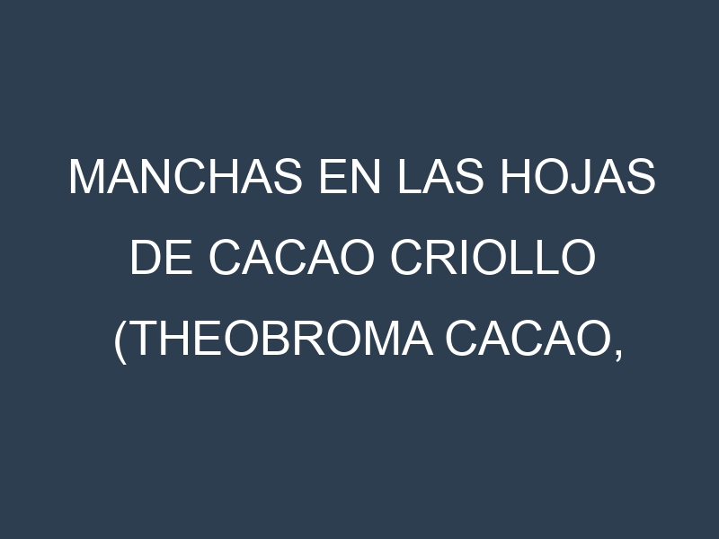 Manchas en las hojas de Cacao criollo (Theobroma cacao, criollo): Identificación, Causas y Estrategias de Control Efectivo