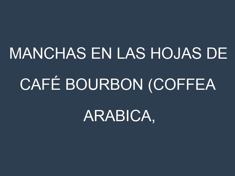 Manchas en las hojas de Café bourbon (Coffea arabica, bourbon): Identificación, Causas y Estrategias de Control Efectivo